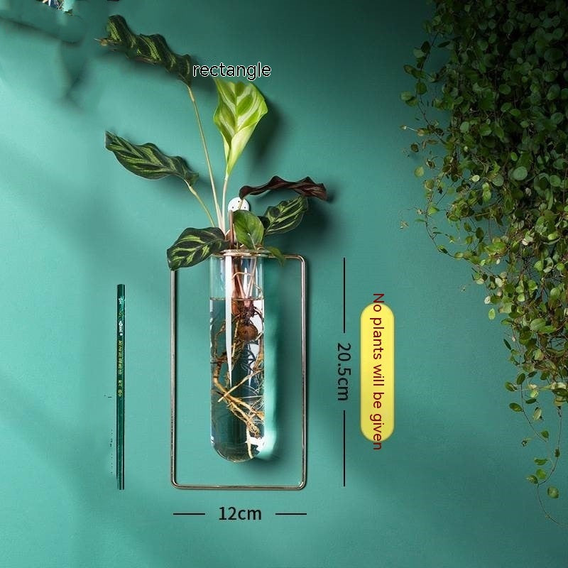 Vase Decoration Wall-mounted Hydroponic Flowerpot Hanging Wall Hanging