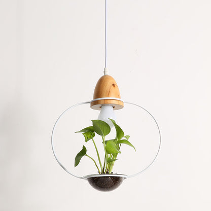 Plant Chandelier