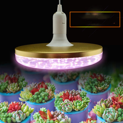 Full Spectrum Plant Growth Light