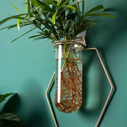 Vase Decoration Wall-mounted Hydroponic Flowerpot Hanging Wall Hanging