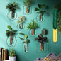 Vase Decoration Wall-mounted Hydroponic Flowerpot Hanging Wall Hanging