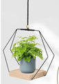 Hanging Flower Pot Plant Bracket Air Green Plant Flower Pot Decoration