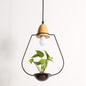 Plant Chandelier