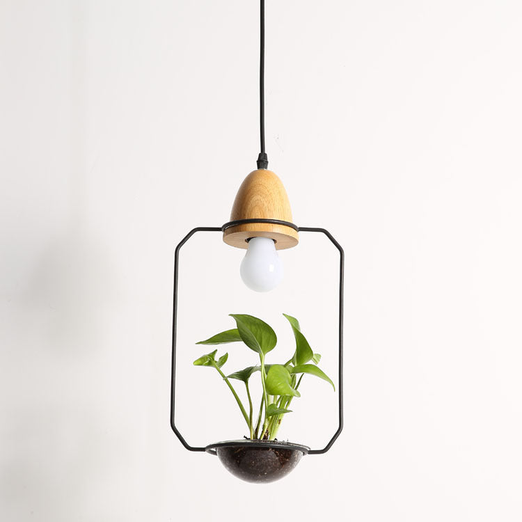 Plant Chandelier