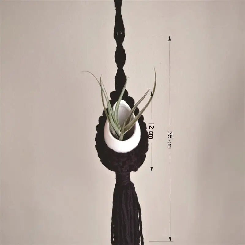 S884cf1277183498c9cebef7f9a93e70d2