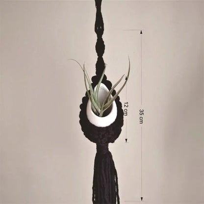 S884cf1277183498c9cebef7f9a93e70d2