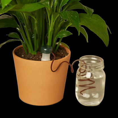 Automatic Plant Waterers